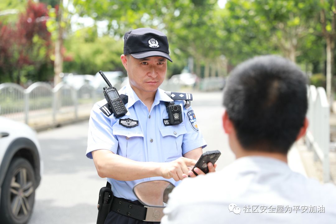 射鱼动态，温馨有趣的日常故事之旅