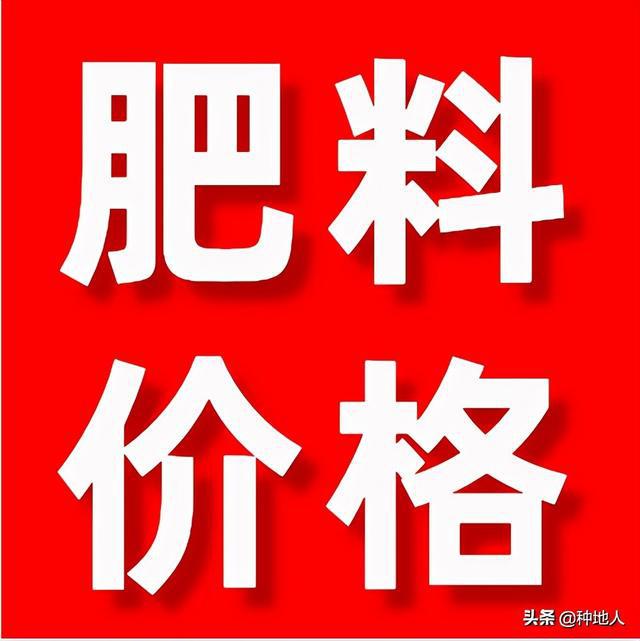 今日复合肥价格动态，变化中学习，成长中的自信与成就感
