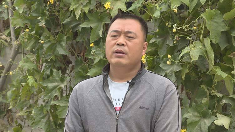 单县车祸再次敲响警钟，痛心事件及最新消息