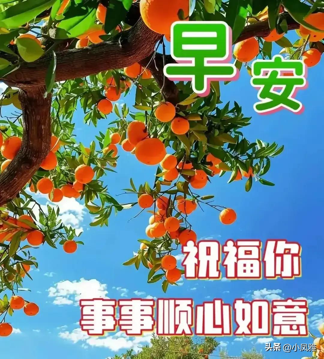 第1104页