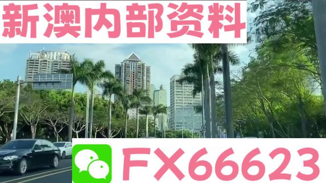 ＂新澳免费资料精准大全＂的：理论考证解析_远程版7.88