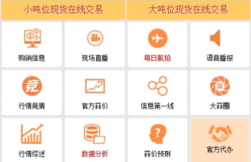 大蒜价格实时语音播报行情，掌握最新市场动态📊🌱