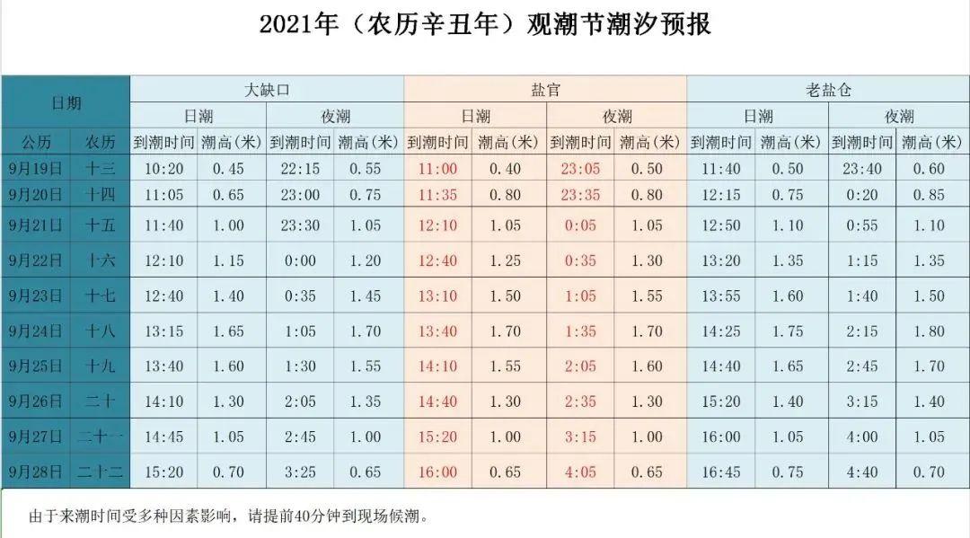 海宁最新资讯，巷弄深处的美食秘境探索