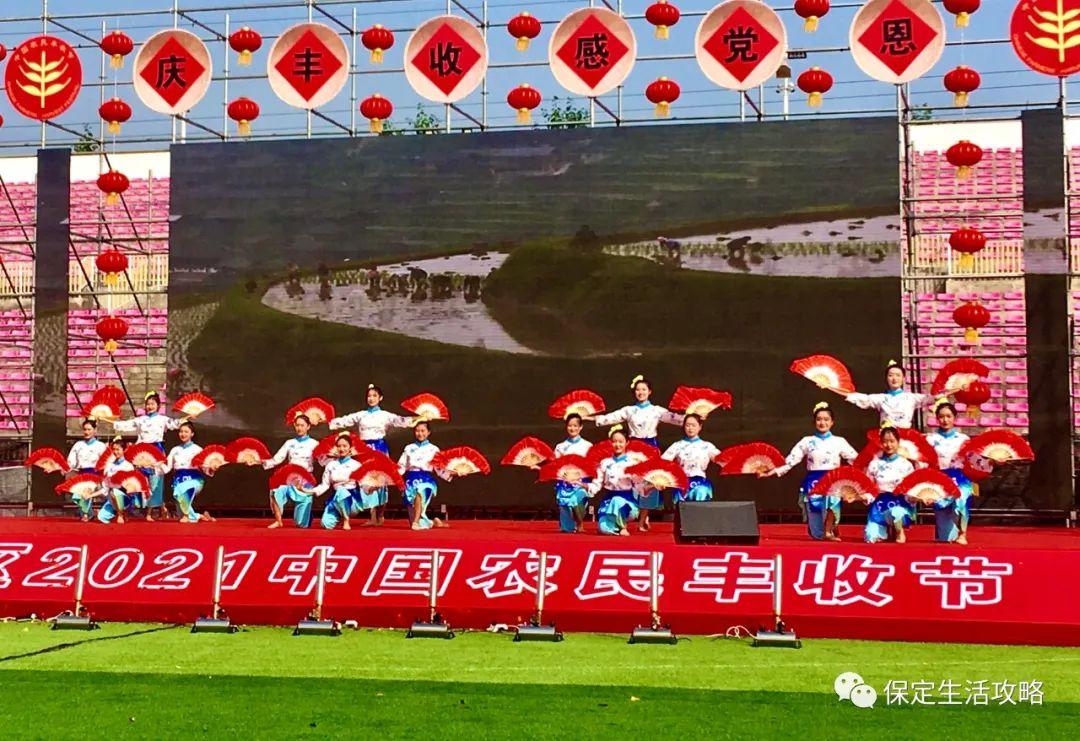 清苑西瓜最新价格及一场寻找内心平静的西瓜之旅