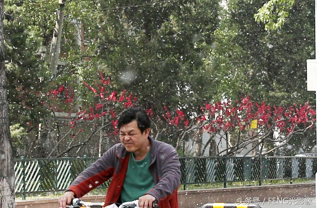 濮阳雪汇最新招工信息，寻找工作的温馨之旅启程了