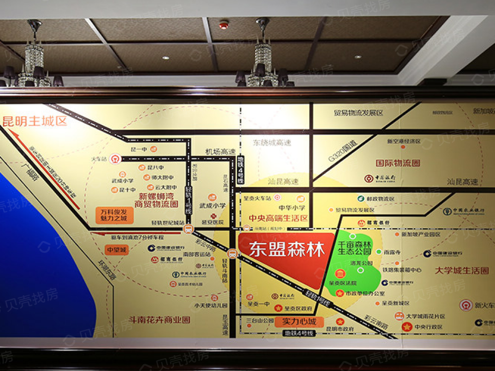 昆明东盟森林蓬勃发展，绿色生态前沿动态最新消息