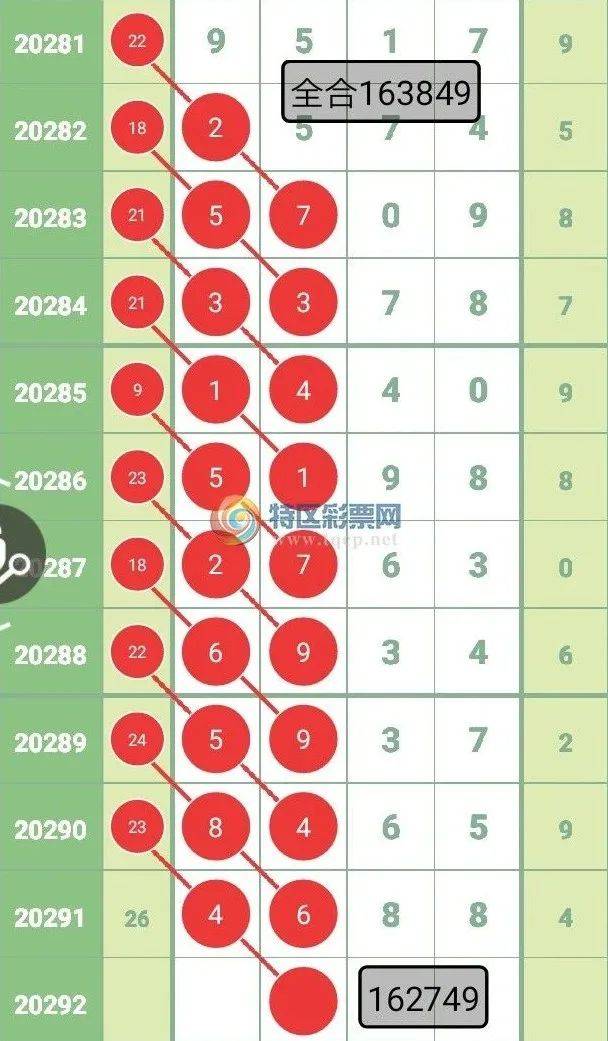 揭秘最新规律公式一肖中特奥秘