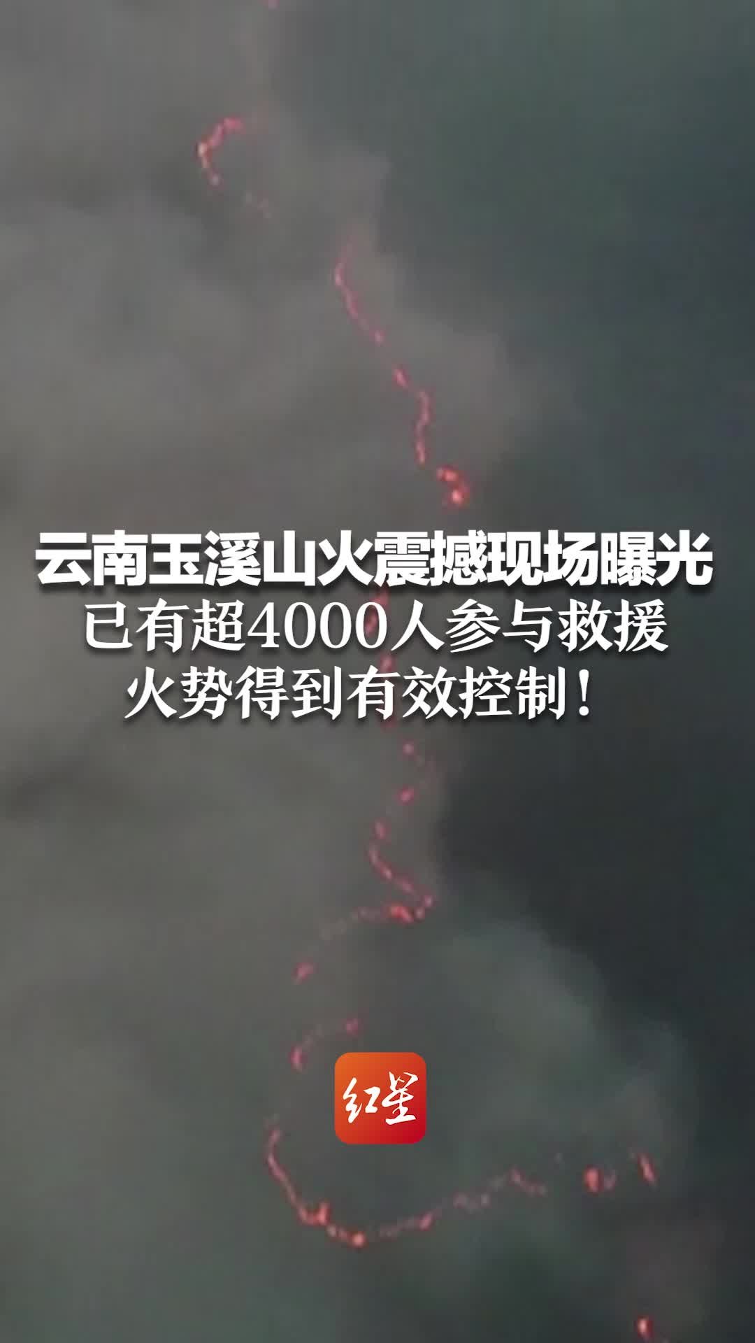 楚雄山火最新情况分析与报告