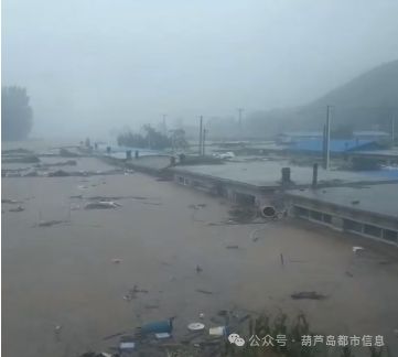 辽宁暴雨灾害现状、应对措施及案例分析，最新信息汇总
