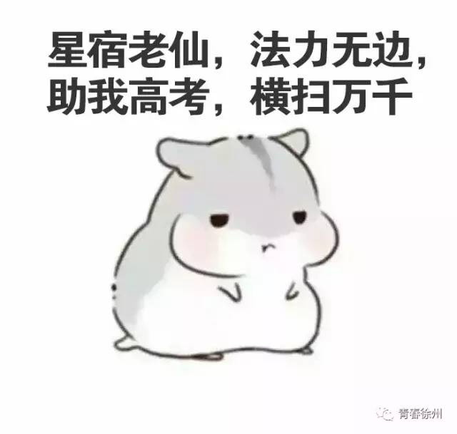 内容创作双刃剑效应，段子流行背后的双刃剑效应分析