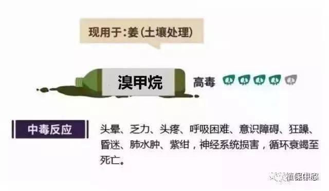 最新禁卖农药背景下的小故事，友情的力量与责任担当