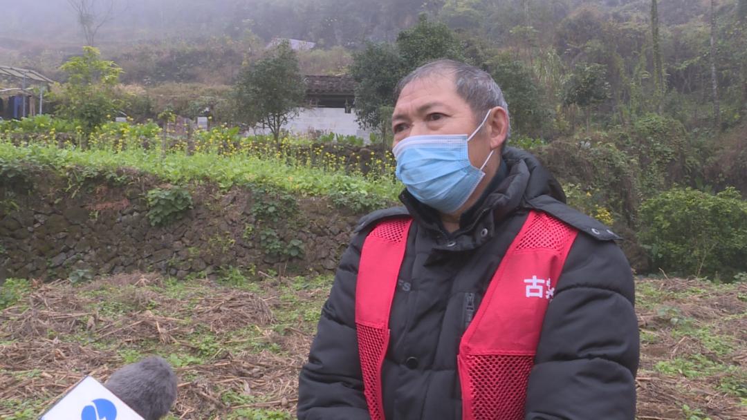马山疫情最新通报更新，疫情动态与防控措施调整