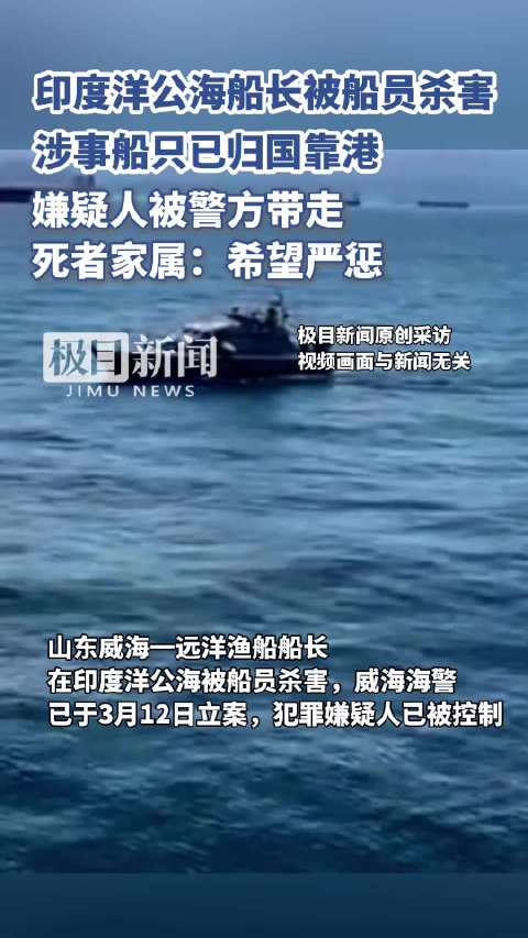 公海彩船最新动态，高科技海洋盛宴引领未来生活潮流