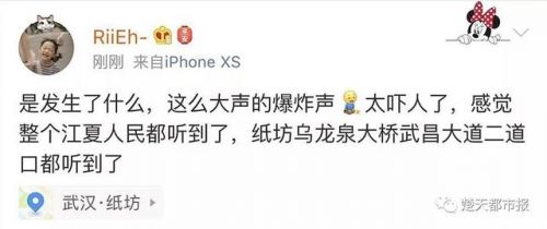 武汉最新鸟洞，城市中的自然奇观