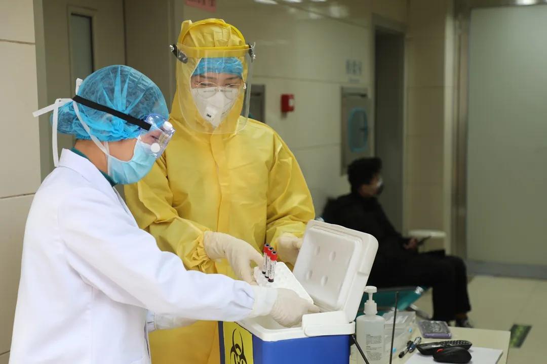 河南病毒最新通报，绿色之旅寻找内心平静